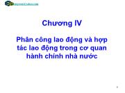 Kinh tế thương mại, dịch vụ - Chương IV: Phân công lao động và hợp tác lao động trong cơ quan hành chính nhà nước