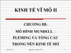 Kinh tê vĩ mô - Chương III: Mô hình mundell – Fleming và tổng cầu trong nền kinh tế mở