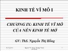 Kinh tế vĩ mô - Chương IX: Kinh tế vĩ mô của nền kinh tế mở