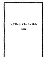 Kỹ thuật cho bò sinh sản