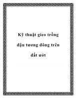 Kỹ thuật gieo trồng đậu tương đông trên đất ướt