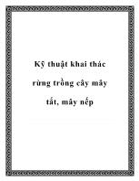 Kỹ thuật khai thác rừng trồng cây mây tắt, mây nếp