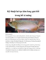 Kỹ thuật lai tạo kim long quá bối trong hồ xi măng