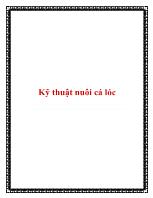 Kỹ thuật nuôi cá lóc