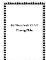 Kỹ thuật nuôi cá mú thương phẩm