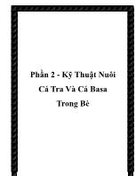 Kỹ thuật nuôi cá tra và cá basa trong bè