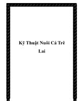 Kỹ thuật nuôi cá trê lai