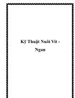 Kỹ thuật nuôi vit -Ngan