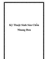 Kỹ thuật sinh sản chồn nhung đen