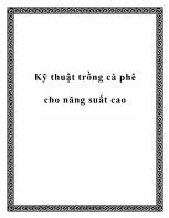 Kỹ thuật trồng cà phê cho năng suất cao