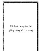 Kỹ thuật ương tôm thẻ giống trong bể xi – măng