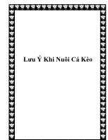 Lưu ý khi nuôi cá kèo