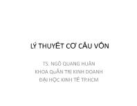 Lý thuyết cơ cấu vốn