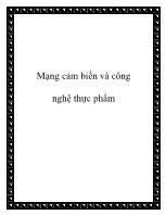 Mạng cảm biến và công nghệ thực phẩm