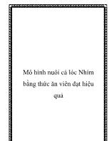 Mô hình nuôi cá lóc Nhím bằng thức ăn viên đạt hiệu quả