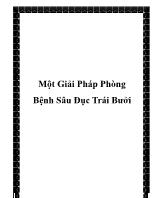 Một giải pháp phòng bệnh sâu đục trái bưởi