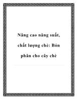 Nâng cao năng suất, chất lượng chè: Bón phân cho cây chè