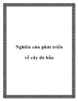 Nghiên cứu phát triển về cây dó bầu