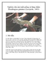 Nghiên cứu sản xuất giống cá lăng chấm Hemibagrus guttatus (Lacépède, 1803)