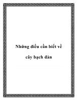 Những điều cần biết về cây bạch đàn