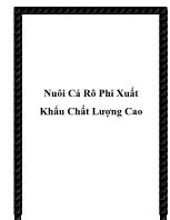 Nuôi cá rô phi xuất khẩu chất lượng cao