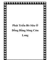 Phát triển bò sữa ở đồng bằng sông Cửu Long