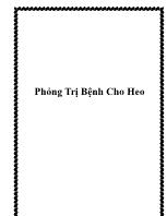 Phỏng trị bệnh cho heo