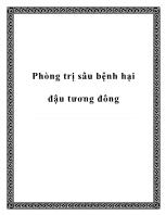 Phòng trị sâu bệnh hại đậu tương đông