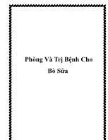 Phòng và trị bệnh cho bò sữa