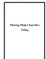 Phương pháp chọn heo giống