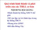 Quá trình hình thành và phát triển của các THLL cơ bản