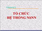 Quản lý nhà nước - Tổ chức hệ thống ngân sách nhà nước