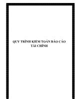 Quy trình kiểm toán Báo cáo tài chính