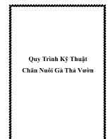 Quy trình kỹ thuật chăn nuôi gà thả vườn