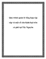 Quy trình quản lý tổng hợp rệp sáp và một số sâu bệnh hại trên cà phê tại Tây Nguyên