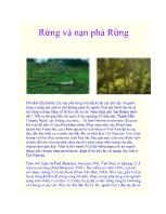 Rừng và nạn phá rừng