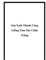 Sản xuất thành công giống tôm thẻ chân trắng