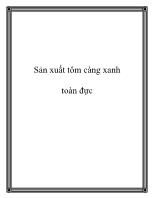 Sản xuất tôm càng xanh toàn đực