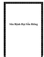 Sâu bệnh hại sầu riêng