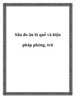 Sâu đo ăn lá quế và biện pháp phòng, trừ