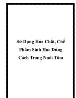 Sử dụng hóa chất, chế phẩm sinh học đúng cách trong nuôi tôm