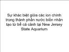 Sự khác biệt giữa các ion chính trong thành phần nước biển nhân tạo từ bể cá cảnh tại New Jersey State Aquarium