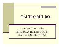 Tài trợ rủi ro