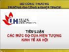 Tiểu luận các mức độ của hiện tượng kinh tế xã hội