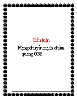 Tiểu luận Mạng  chuyển mạch về chùm quang OBS