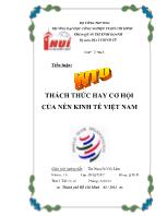 Tiểu luận WTO Thách thức hay cơ hội của nền kinh tế Việt Nam