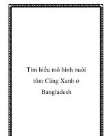 Tìm hiểu mô hình nuôi tôm Càng Xanh ở Bangladesh