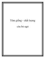 Tôm giống - Chất lượng còn bỏ ngỏ