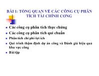 Tổng quan về các công cụ phân tích tài chính công