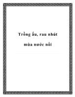 Trồng ấu, rau nhút mùa nước nổi